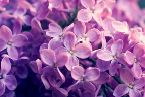 华体会官网-数据揭秘，一个平凡的意式中卫，如何上演19年首见的拜仁克星神迹？