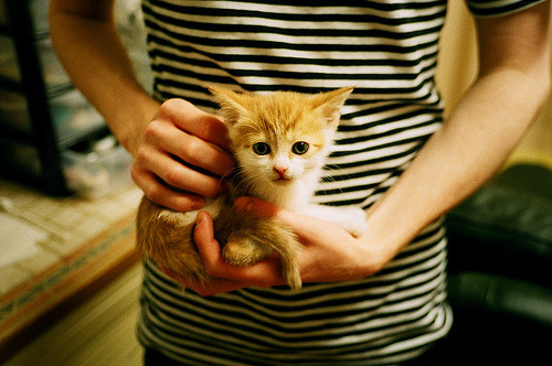 华体会下载-篮球宇宙的奇异交叠，约基奇成为胜负手，解析广东队如何制霸迈阿密  第2张